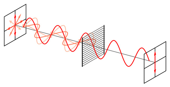 wire-grid polarized by Bob Melish